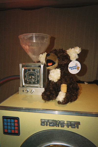 Monty Plushie & Display Box