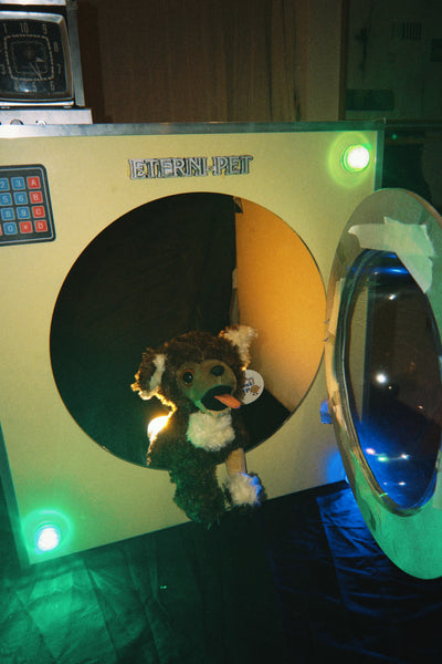 Monty Plushie & Display Box