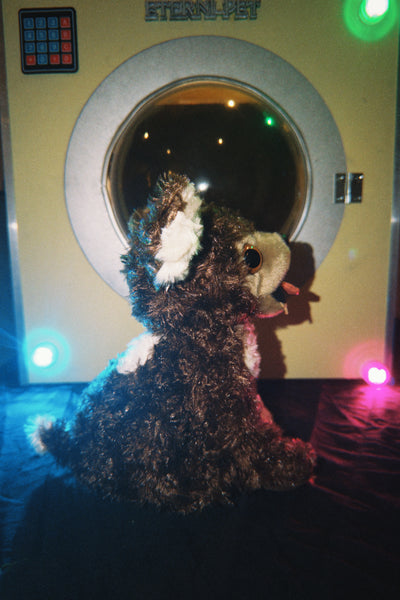 Monty Plushie & Display Box